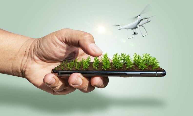 Smart Farming: Kuasai Potensi Besar Pertanian Dalam 5 Menit!